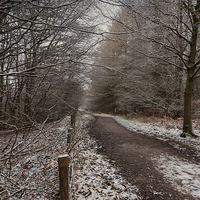 Buy canvas prints of The Cycle Path In Winter by David Tinsley