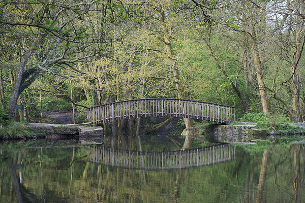 Footbridge Reflections Picture Board by David Tinsley
