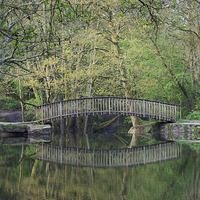 Buy canvas prints of Footbridge Reflections by David Tinsley