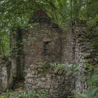 Buy canvas prints of  Derelict Cottage by David Tinsley