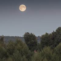 Buy canvas prints of  Full Moon by David Tinsley
