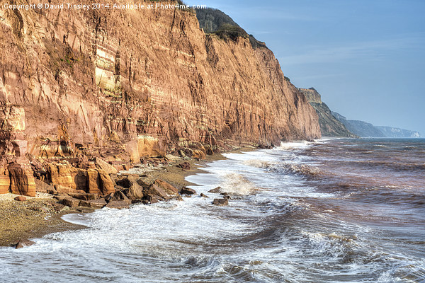  Sidmouth Cliffs Picture Board by David Tinsley