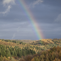 Buy canvas prints of  Rainbows End by David Tinsley