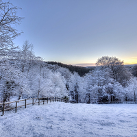 Buy canvas prints of  Snowy Sunrise by David Tinsley