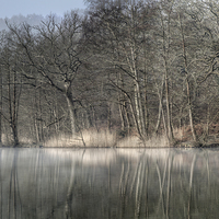 Buy canvas prints of  Misty Cannop Ponds by David Tinsley