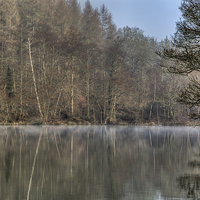 Buy canvas prints of  Winter Reflections by David Tinsley