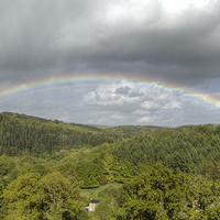 Buy canvas prints of  Forest Rainbow by David Tinsley