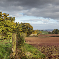 Buy canvas prints of  Rural Gloucestershire by David Tinsley