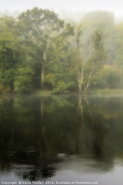 Misty Reflections Picture Board by David Tinsley