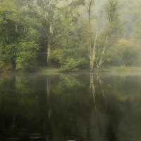 Buy canvas prints of Misty Reflections by David Tinsley