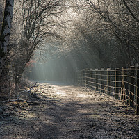 Buy canvas prints of The Old Railway Line by David Tinsley