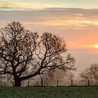 Buy canvas prints of Winter Sunrise by David Tinsley
