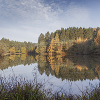 Buy canvas prints of     Autumn Reflected - 7 by David Tinsley