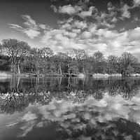 Buy canvas prints of Late Winter Reflections by David Tinsley