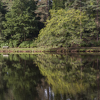 Buy canvas prints of Summer Reflections - 1 by David Tinsley