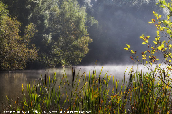 Autumn Mist at Mallards Pike Picture Board by David Tinsley