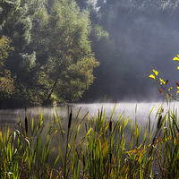 Buy canvas prints of Autumn Mist at Mallards Pike by David Tinsley
