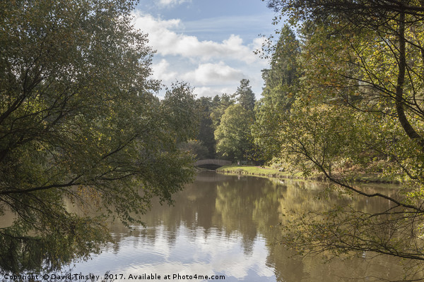 Early Autumn Reflections Picture Board by David Tinsley