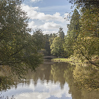 Buy canvas prints of Early Autumn Reflections by David Tinsley