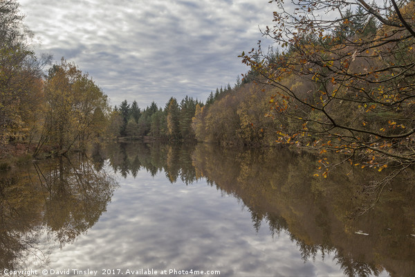 Autumn Lake Reflections Picture Board by David Tinsley