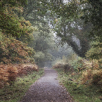 Buy canvas prints of Misty Autumn Morning Walk by David Tinsley