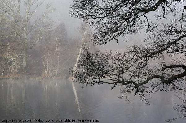 Misty Winter Reflections Picture Board by David Tinsley