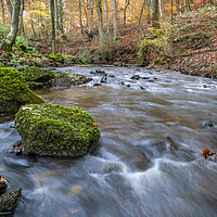 Buy canvas prints of Late Autumn Brook by David Tinsley