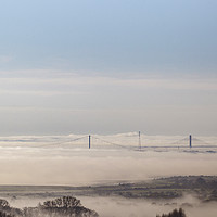 Buy canvas prints of Out of the Mist by David Tinsley