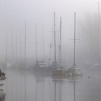 Buy canvas prints of Misty Harbour Reflections by David Tinsley