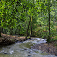 Buy canvas prints of Early Autumn Brook No.2 by David Tinsley