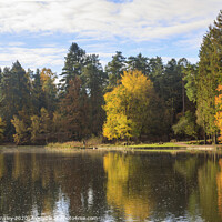 Buy canvas prints of Late Autumn Reflections by David Tinsley