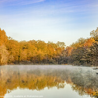 Buy canvas prints of Late Autumn at Cannop No.2 by David Tinsley
