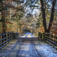 Buy canvas prints of Central Bridge in Winter by David Tinsley