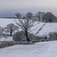 Buy canvas prints of Rural Snowy Landscape by David Tinsley