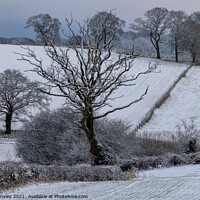 Buy canvas prints of Rural Snowy Landscape by David Tinsley