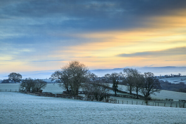 January Sunrise  Picture Board by David Tinsley