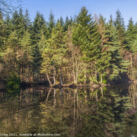 Buy canvas prints of Spring Reflections by David Tinsley