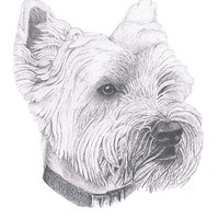 Buy canvas prints of West Highland Terrier by Gordon and Gillian McFarland