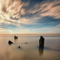 Buy canvas prints of Normans Bay Wood by mark Worsfold