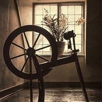 Buy canvas prints of Spinning Jenny by Andy dean