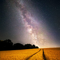 Buy canvas prints of Milkyway by Malcolm Wood