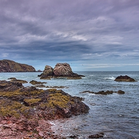 Buy canvas prints of Seagull Rock 1 by kevin wise