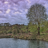Buy canvas prints of  Wharram Percy fish pond by kevin wise