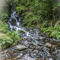 Buy canvas prints of  Burrator falls by kevin wise
