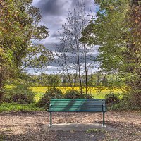 Buy canvas prints of  Bench by kevin wise