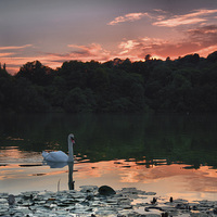 Buy canvas prints of  Decoy Lake by kevin wise