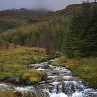 Buy canvas prints of  Autumn Stream by kevin wise