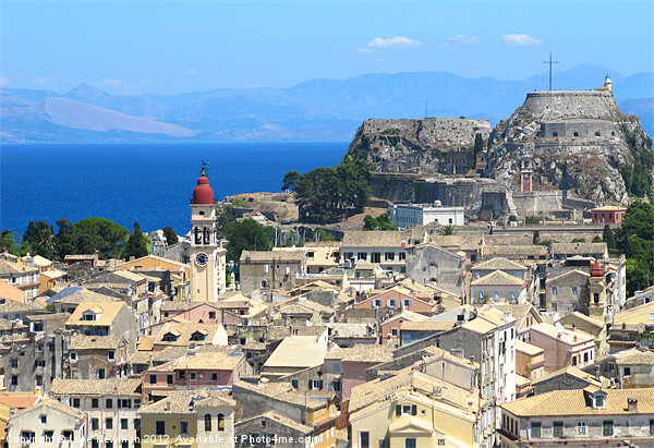 Corfu Town rooftops and Fortress Picture Board by Luke Newman