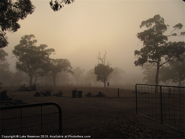 Australian Farm Morning Mist Picture Board by Luke Newman