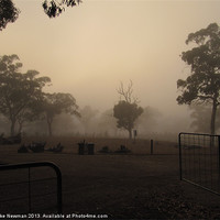 Buy canvas prints of Australian Farm Morning Mist by Luke Newman